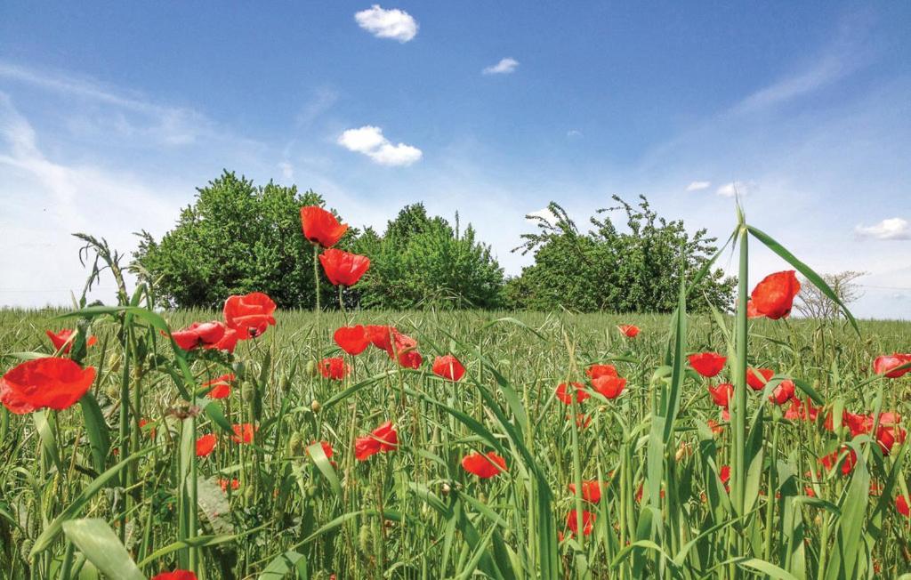 Casetta Tre Poderi Appartamento Cactus Monte Cucco Zewnętrze zdjęcie