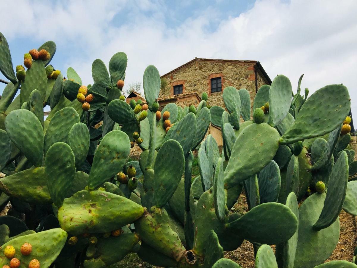 Casetta Tre Poderi Appartamento Cactus Monte Cucco Zewnętrze zdjęcie